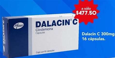 th?q=¿dónde+encontrar+dalacin+en+farmacia?