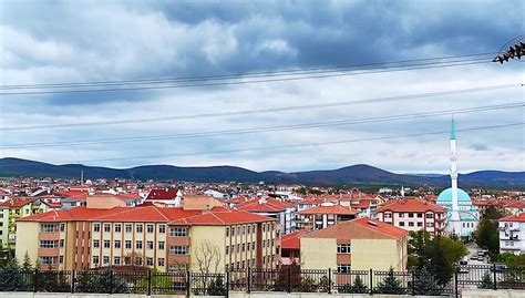 codini.rgarabwor.edu.pl. 