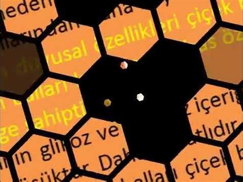 genssuffweb.rgarabwor.edu.pl. 