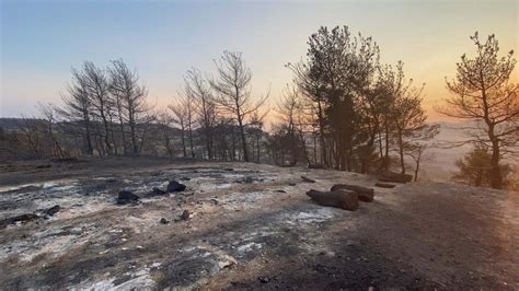 Çanakkale’deki orman yangını 3’üncü günde kontrol altına alındı
