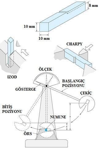 codini.rgarabwor.edu.pl. 