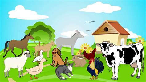 Çiftlik hayvanları videoları