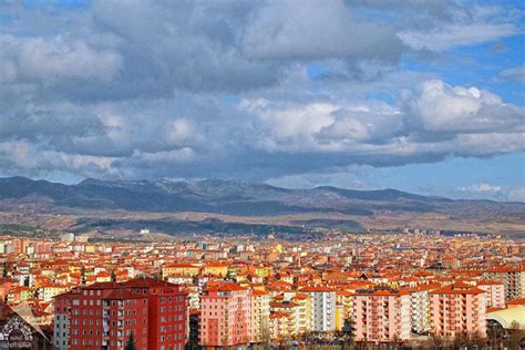 Çorum Dodurga terapi halı yıkama