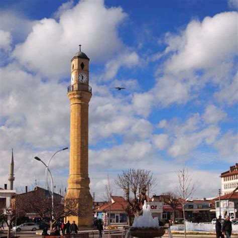Çorum Merkez Pinarcayosb Mevkii terapi halı yıkama