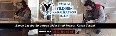 genssuffweb.rgarabwor.edu.pl. 