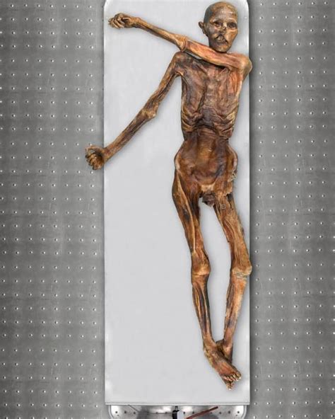 Ötzi the Iceman - Expedition Magazine - wintechmobiles.com