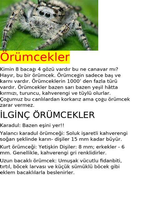Örümcekler Page 2.