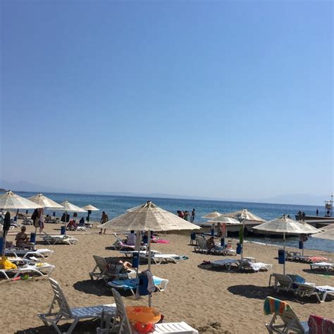 codini.rgarabwor.edu.pl. 