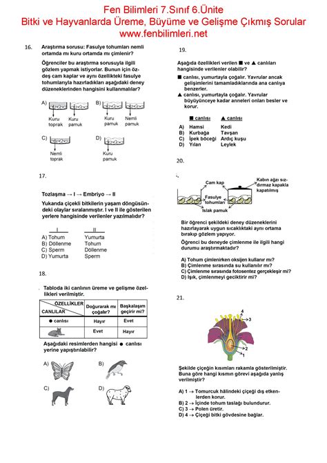 ÜNİTE : Canlılarda Üreme, Büyüme ve Gelişme 7.