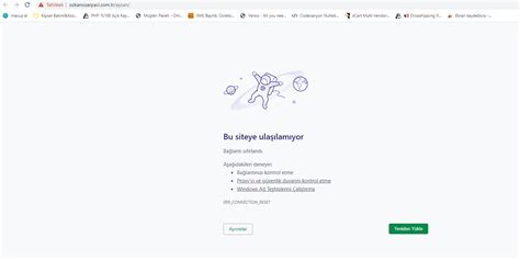 codini.rgarabwor.edu.pl. 