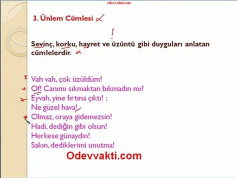 veodersti.rgarabwor.edu.pl. 