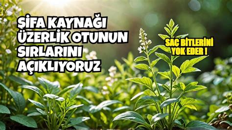 Üzerlik Mucize Bitkiler.