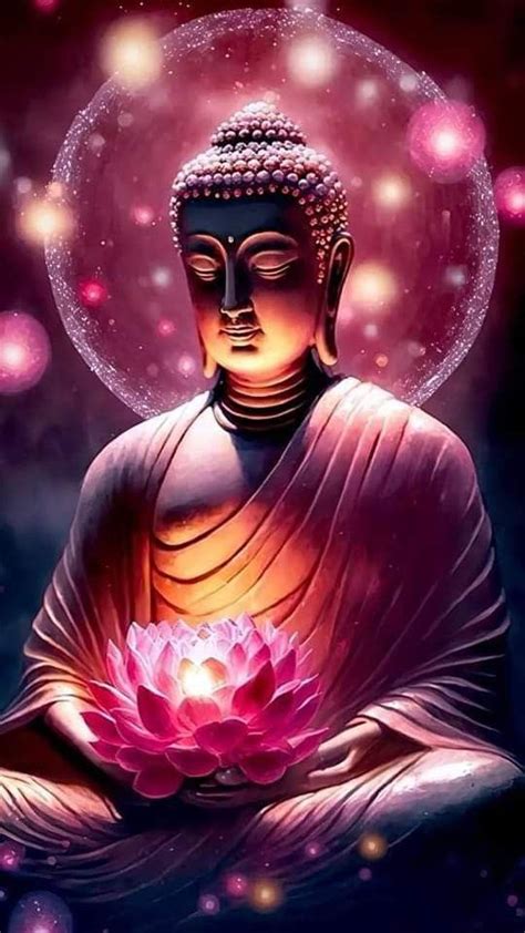 är  enstaka buddha mage  planta  enstaka saftig