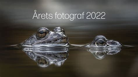 årets fotograf 2022