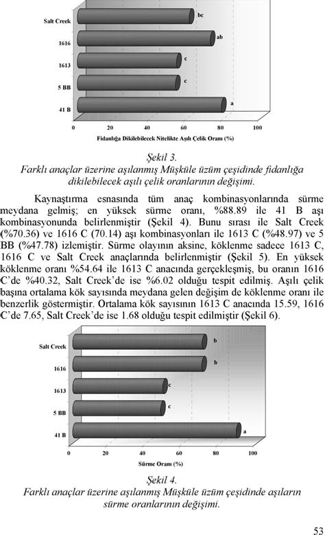 ç randımanı %47.