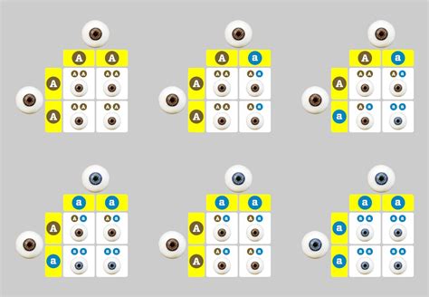 ögonfärg barn test