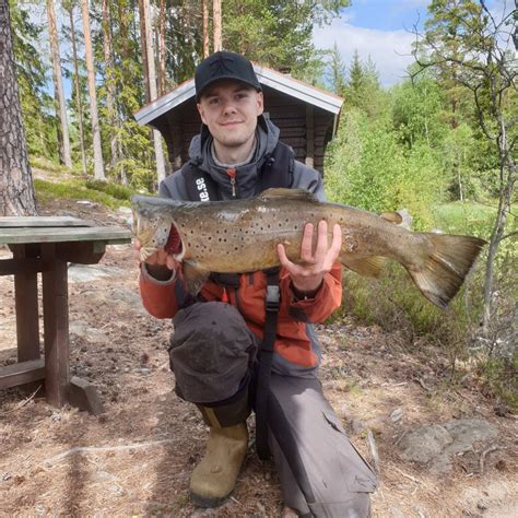 öring fiske dalarna