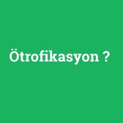 ötrofikasyon ne demek 