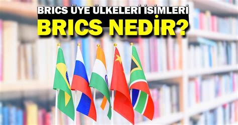 üye Nedir Ne Demek. 