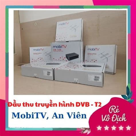 Đầu Thu An Viên 888: Cửa Ngõ Tận Hưởng Giải Trí Treo Tường