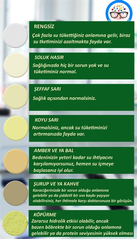 İdrar Renginin Yeşil Olması Nedenleri Nedir Modanium. 