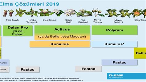 İlaçlama Programları BASF.