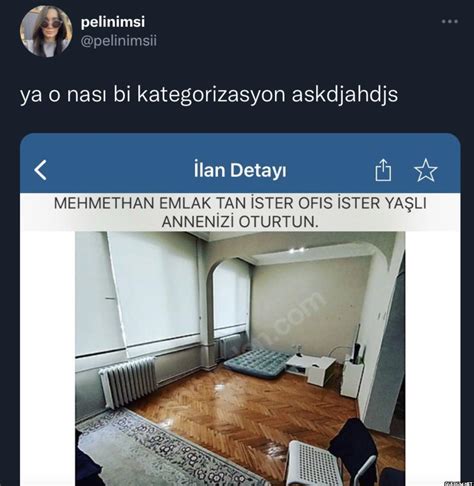 codini.rgarabwor.edu.pl. 