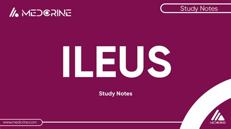 veodersti.rgarabwor.edu.pl. 