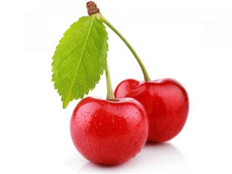 genssuffweb.rgarabwor.edu.pl. 