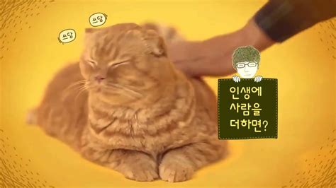 İmaginary cat YouTube. 