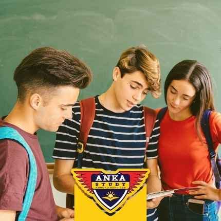 İngiltere Lise Anka Study.