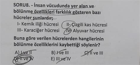 İnsan vücudunda yer alan ve bölünme özellikleri farklılık gösteren .