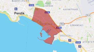 İstanbul Pendik Kaynarca Mahallesi terapi halı yıkama