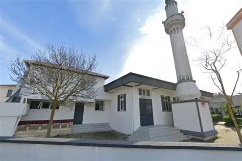 İstanbul Tuzla Cami Mahallesi terapi halı yıkama