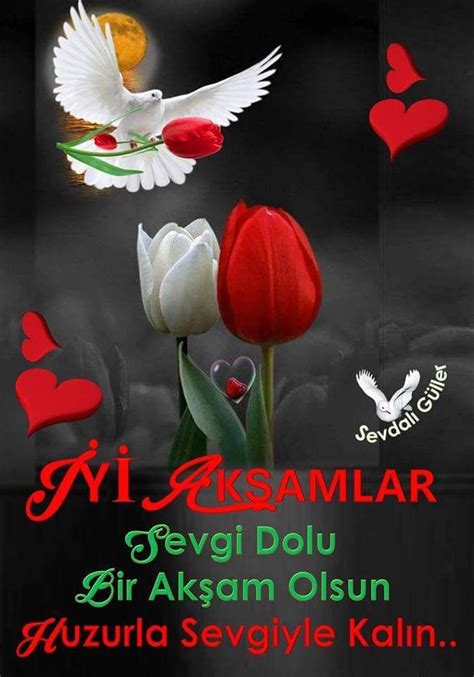 İyi geceler.. Baba Yorumlar Facebook.