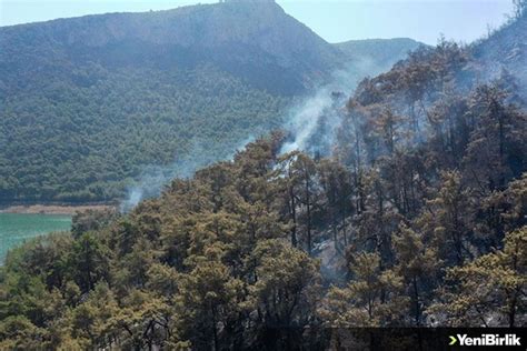 İzmir’deki orman yangınında 260 hektarlık alan etkilendi