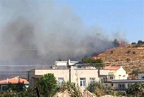 İzmir’in Dikili ilçesinde makilik alanda yangın çıktı