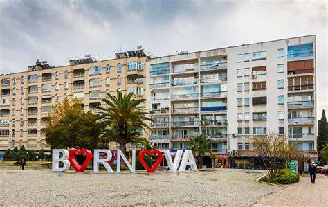 İzmir Bornova terapi halı yıkama