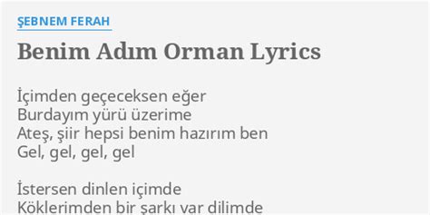 Şebnem Ferah Benim Adım Orman LRC [04:05] Lyrics Download. 