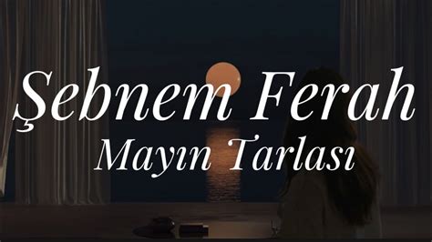 Şebnem ferah Mayın tarlası (sözleri/lycrs) YouTube.