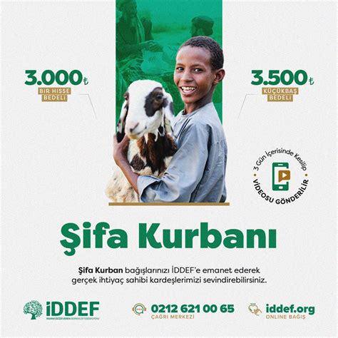 Şifa & Zihnin İyileştirici Gücüne Dair Bilimsel Bir Yolculuk PDF İndir.