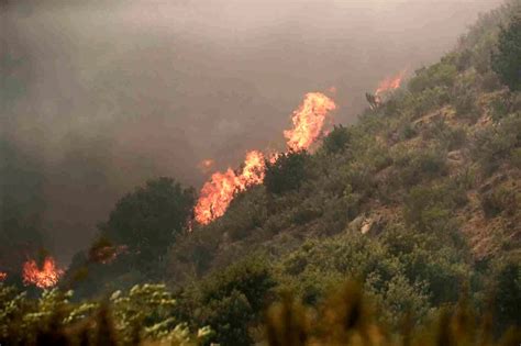 Şili’deki orman yangınlarında can kaybı 123’e yükseldis