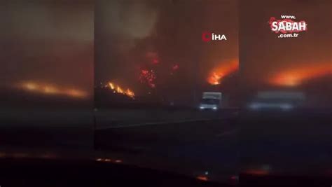 Şili’deki orman yangınlarında can kaybı 51’e yükseldis
