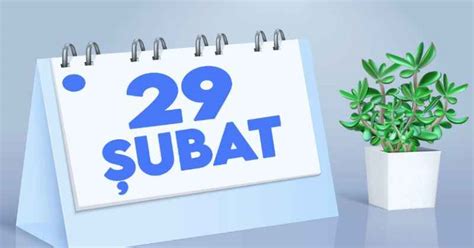 Şubat ayının 29 gün sürdüğü yıl 366 gündür.