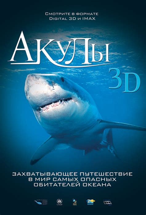 Акулы 3D 2004