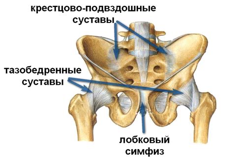 Беременность и боль в тазобедренном суставе