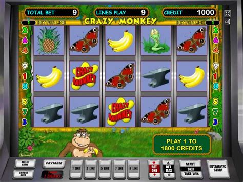Бесплатные игровые автоматы Crazy Monkey  играть в Обезьянки онлайн