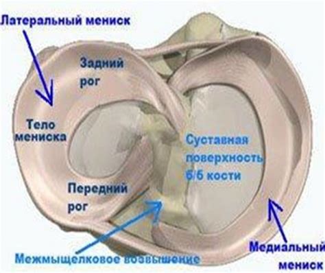 Причины и методы устранения спереди коленного сустава