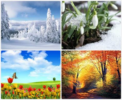 Весна, лето, осень, зима..
