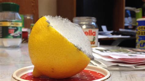 Голям лимон с брадавици - comercialexposito.com